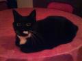 Lola